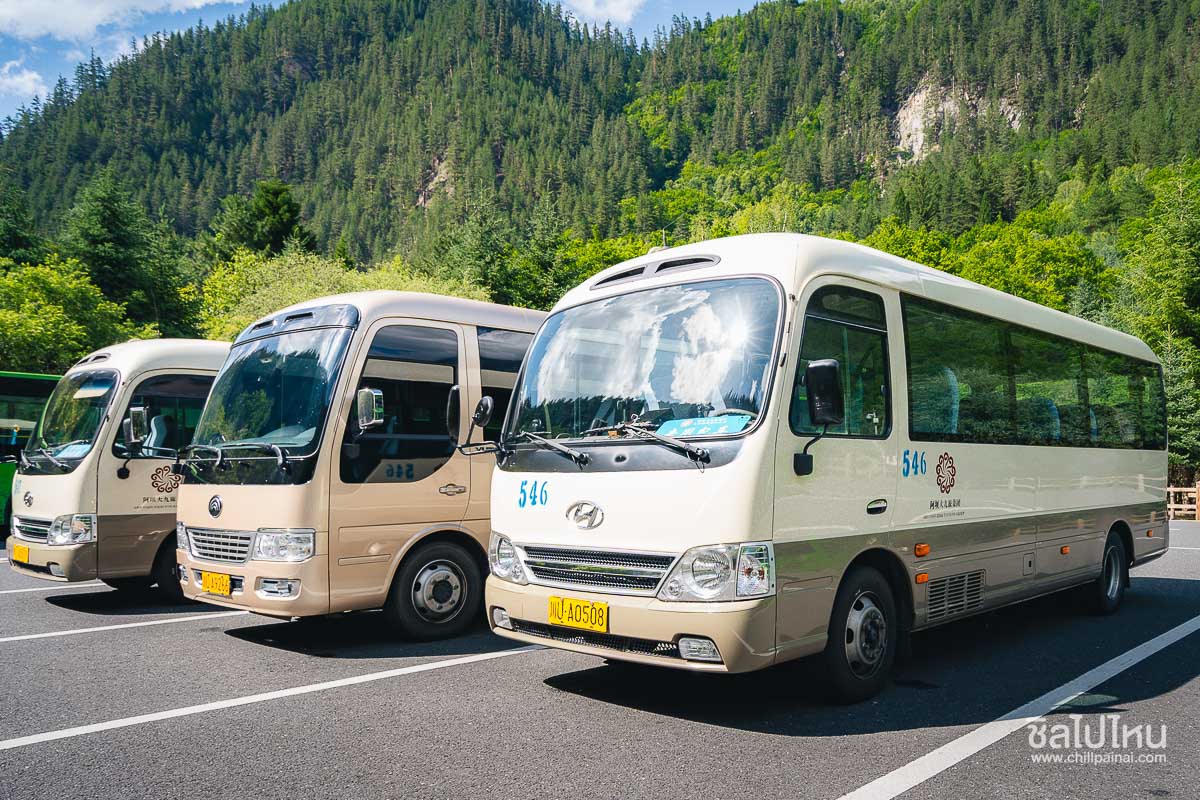 Bus_J_20
