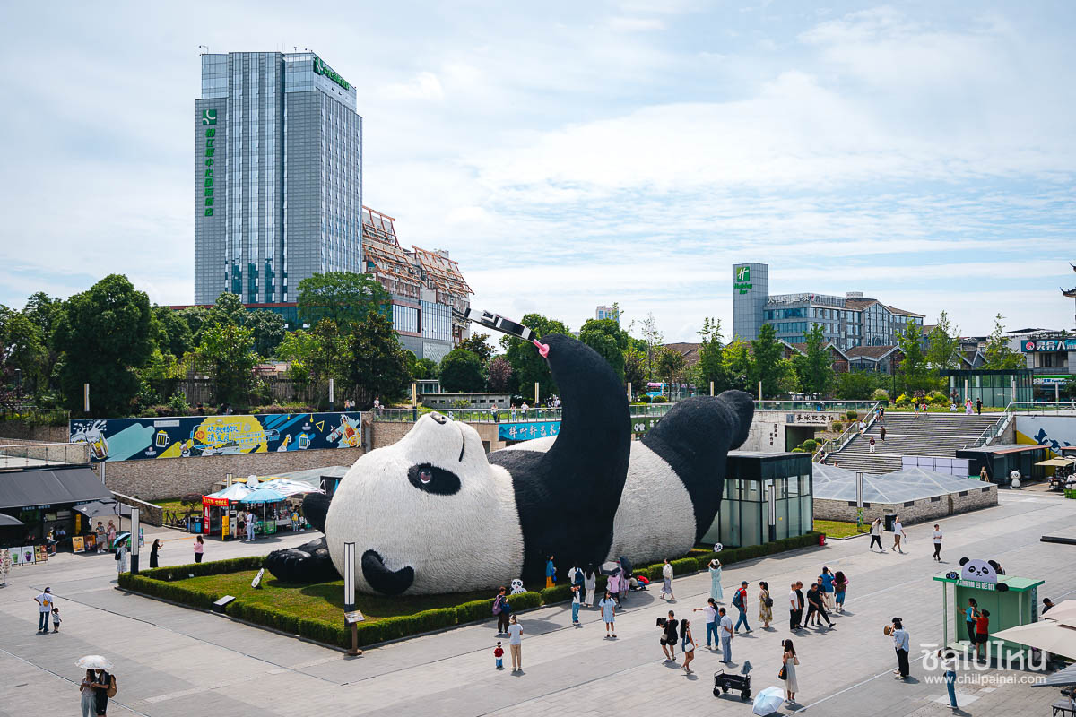 Panda_Selfie_1