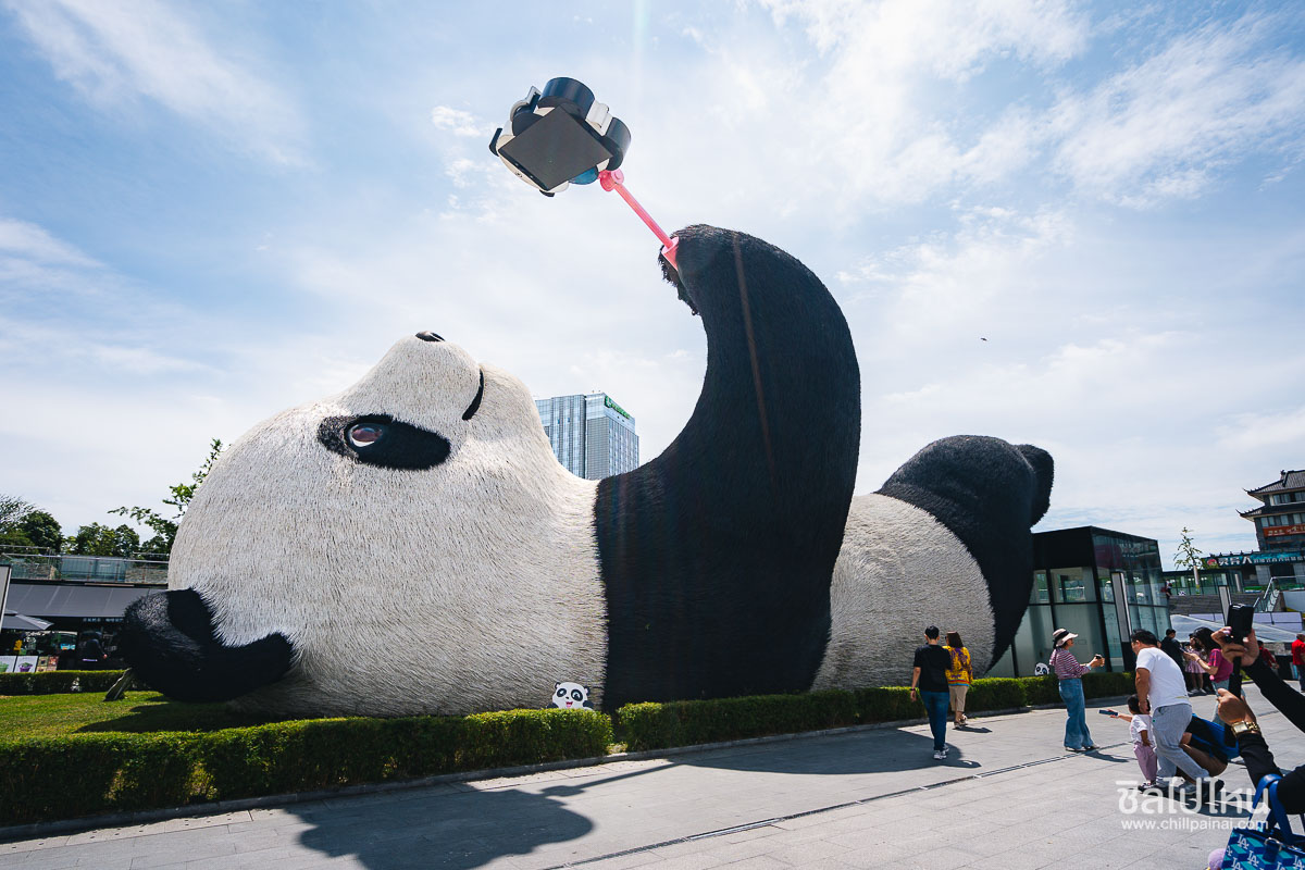Panda_Selfie_4