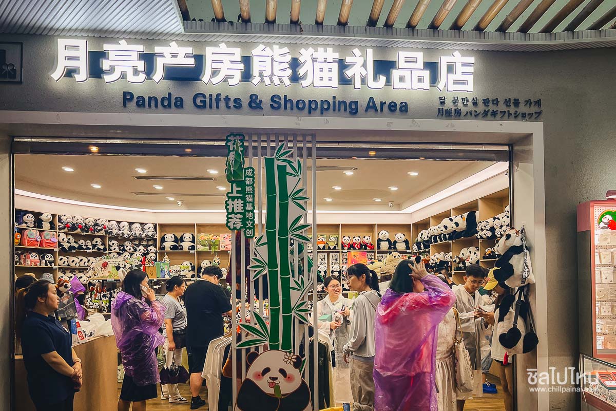 PANDA_ZOO_3