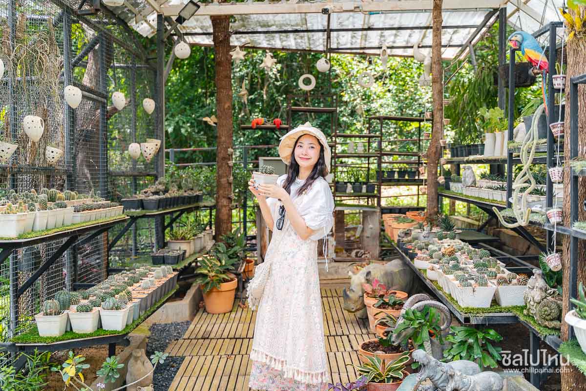 Greenpix_Khaoyai_30