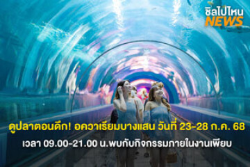 ดูปลาตอนดึก! อควาเรียมบางแสน วันที่ 23-28 ก.ค. 68 เวลา 09.00-21.00 น.พบกับกิจกรรมภายในงานเพียบ