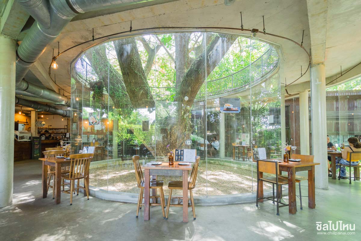 20 คาเฟ่บางแสน ชลบุรี ร้านน่านั่ง ถ่ายรูปสวย ทานขนมและเครื่องดื่มอร่อย อัปเดตใหม่ 2568
