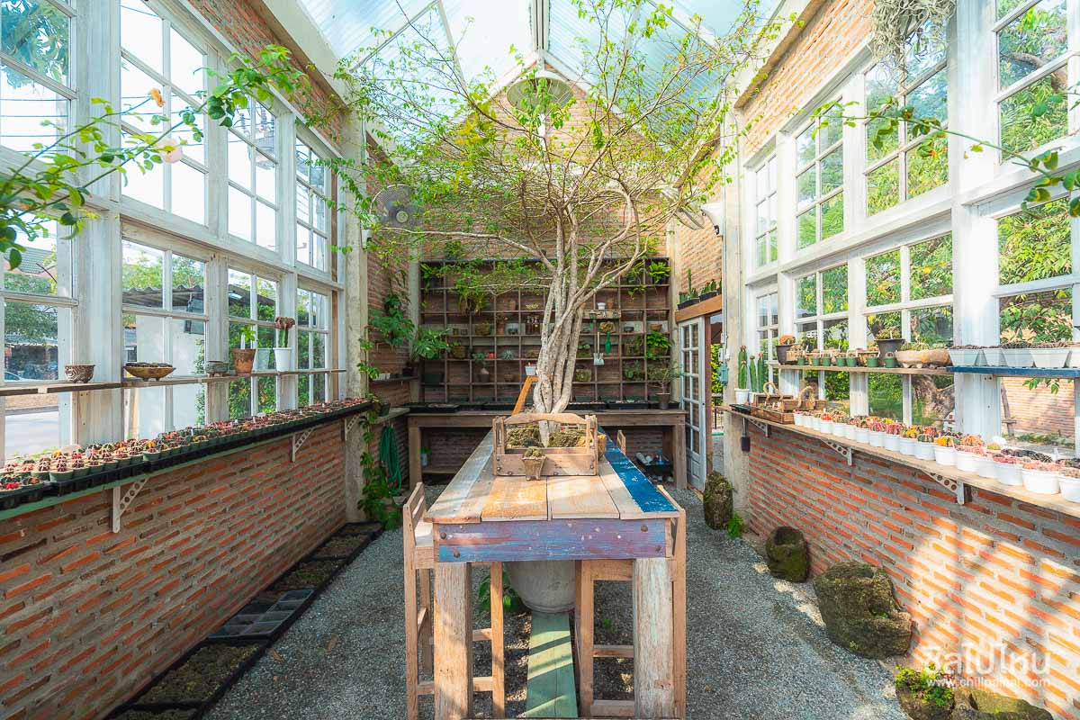 20 คาเฟ่บางแสน ชลบุรี ร้านน่านั่ง ถ่ายรูปสวย ทานขนมและเครื่องดื่มอร่อย อัปเดตใหม่ 2568