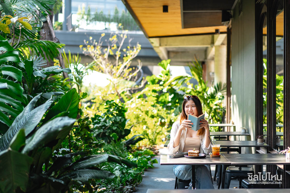 20 คาเฟ่บางแสน ชลบุรี ร้านน่านั่ง ถ่ายรูปสวย ทานขนมและเครื่องดื่มอร่อย อัปเดตใหม่ 2568