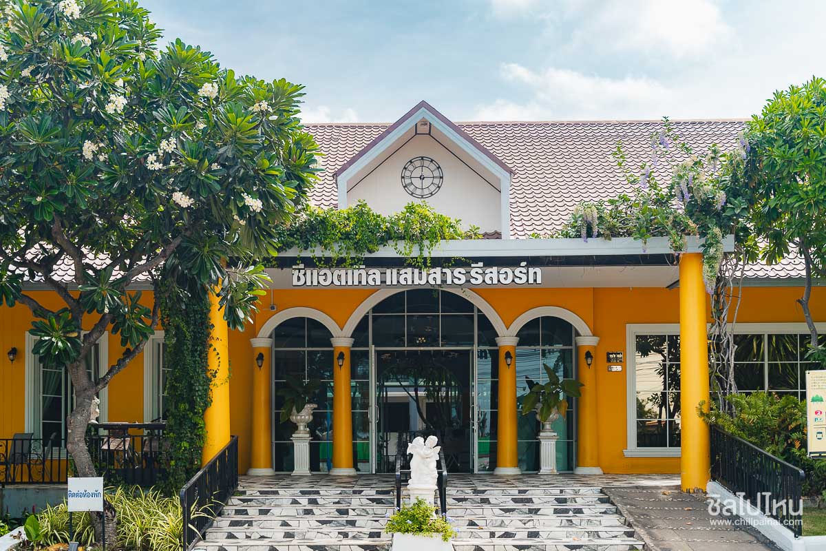 รีวิวทริปเที่ยวแสมสาร ซีแอตเทิล แสมสาร รีสอร์ท ดำน้ำดูปลานีโม่ เริ่มต้น 2,750 บาทต่อคน