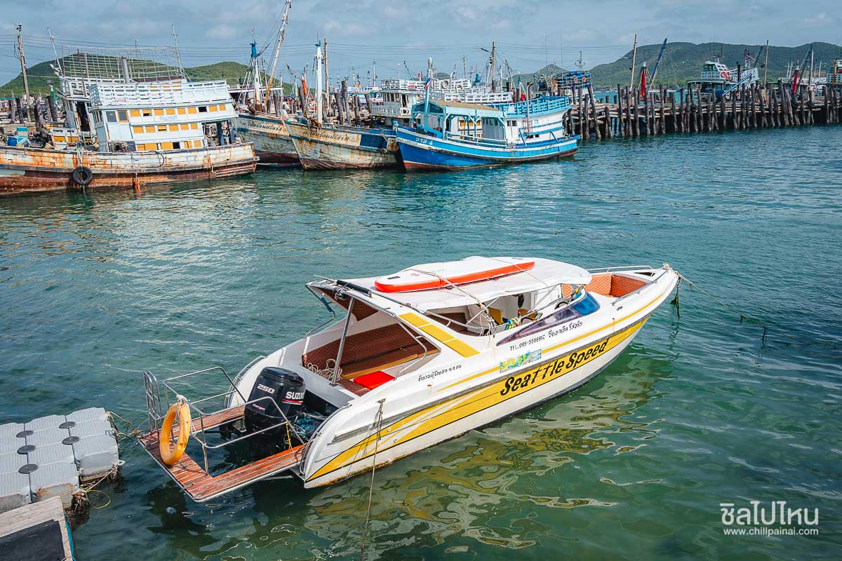 รีวิวทริปเที่ยวแสมสาร ซีแอตเทิล แสมสาร รีสอร์ท ดำน้ำดูปลานีโม่ เริ่มต้น 2,750 บาทต่อคน
