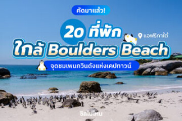 20 ที่พัก Boulders Beach ชายหาดสุดฮอตใน "เคปทาวน์" พาใจไปพักใกล้น้องเพนกวินสุดคิวท์ อัปเดตใหม่ต้อนรับปี 2569