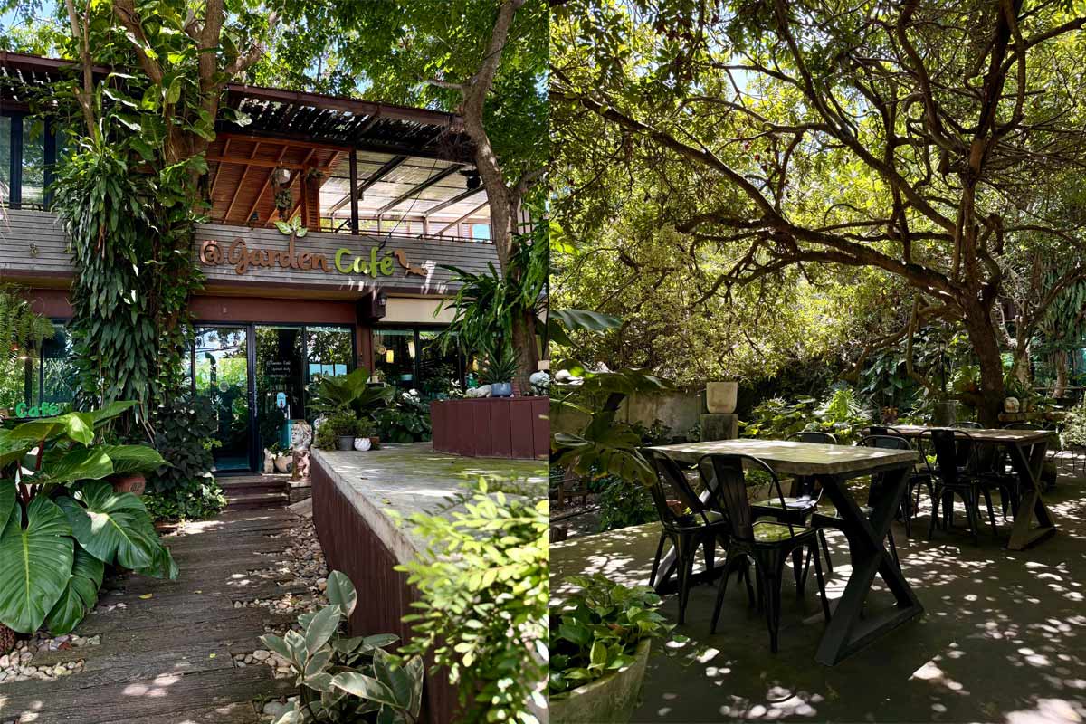 At_Garden_Cafe-