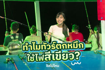 ทำไมทัวร์ตกหมึกถึงใช้ไฟสีเขียว?