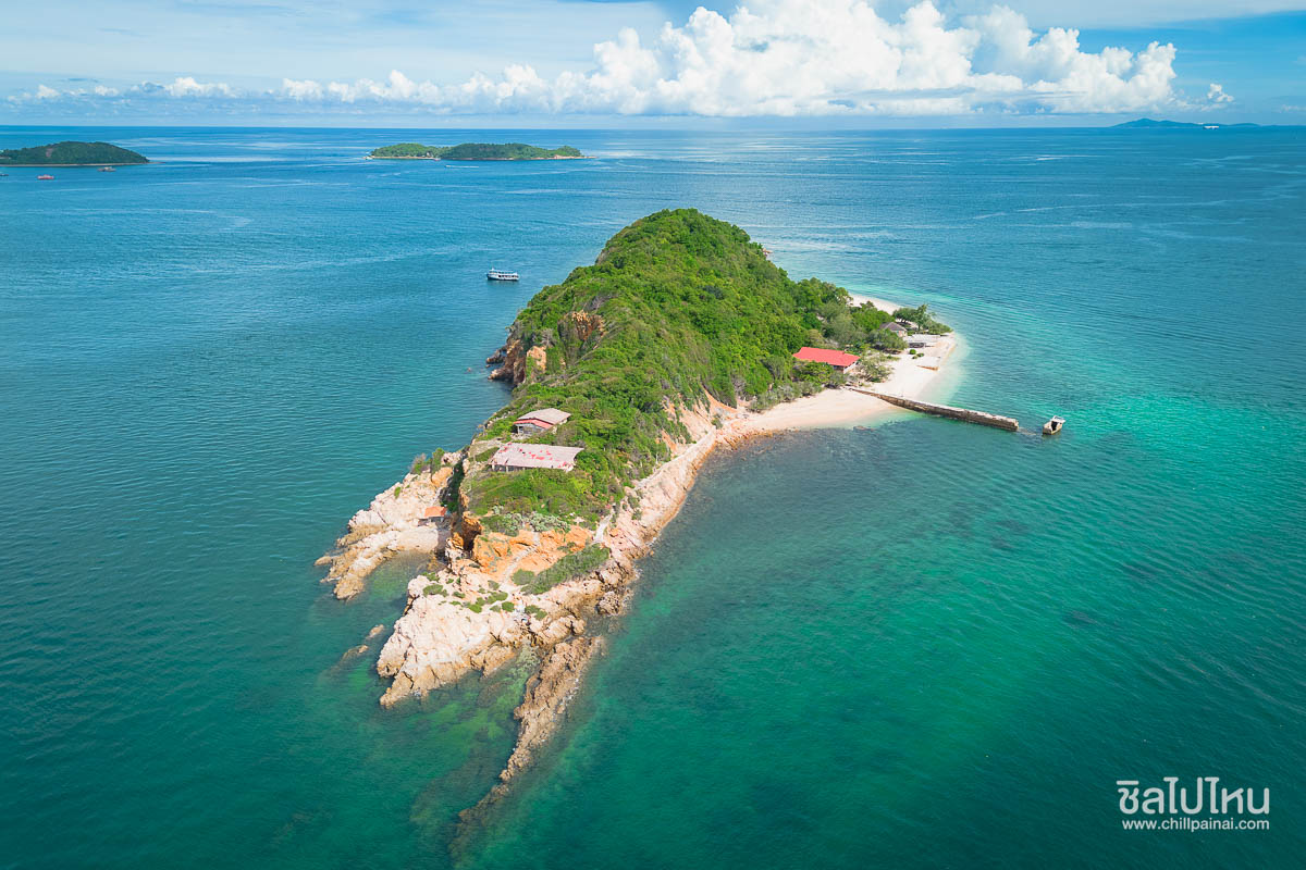 One Day Trip ล่องเรือประมงสุดหรู ดำน้ำ ตกปลา 3 เกาะ เกาะล้าน เกาะครก เกาะสาก แบบส่วนตัว เริ่ม 5,900 ต่อ 4 คน