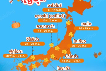 พยากรณ์ใบไม้เปลี่ยนสี ญี่ปุ่น ปี 2025 [INFO]