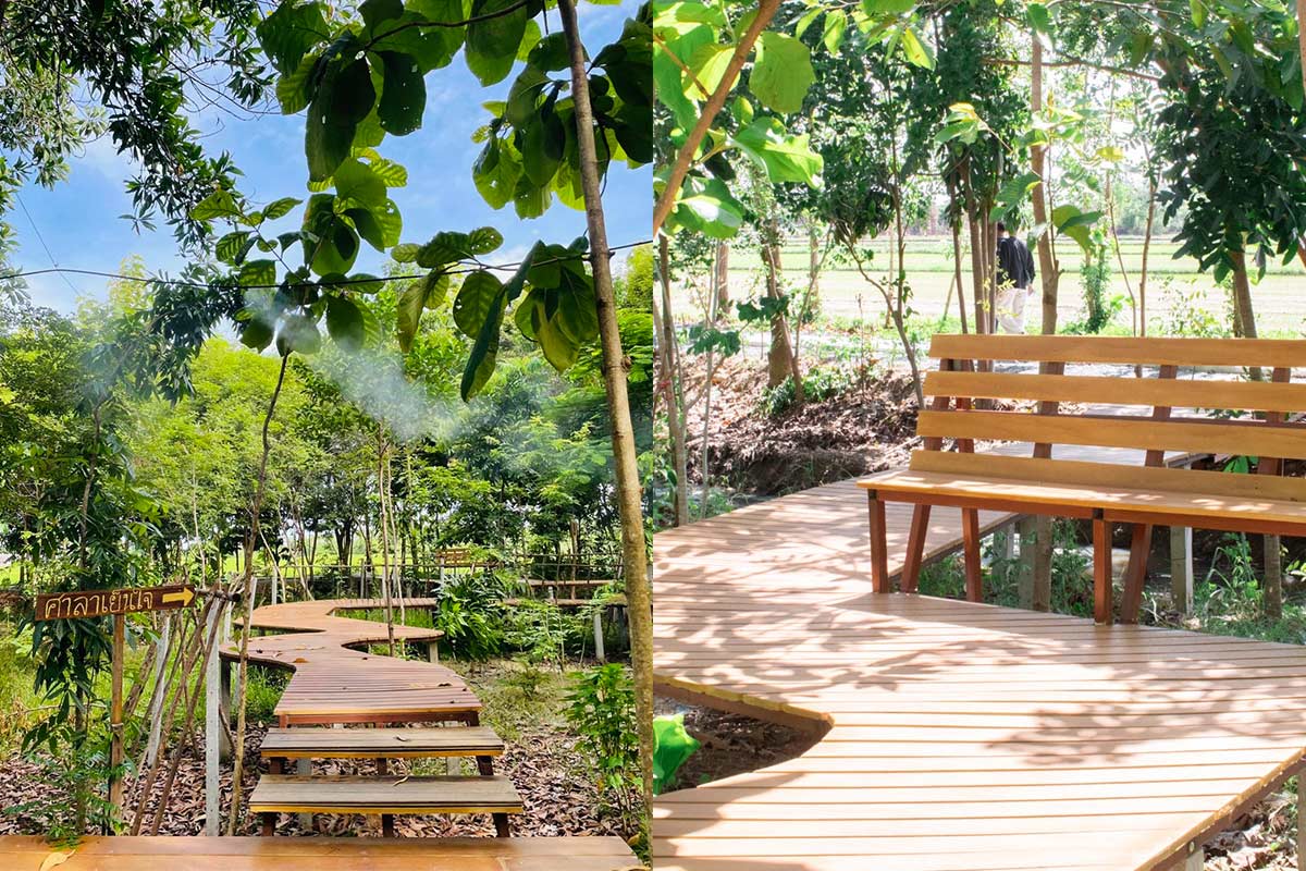 CafeForest 1