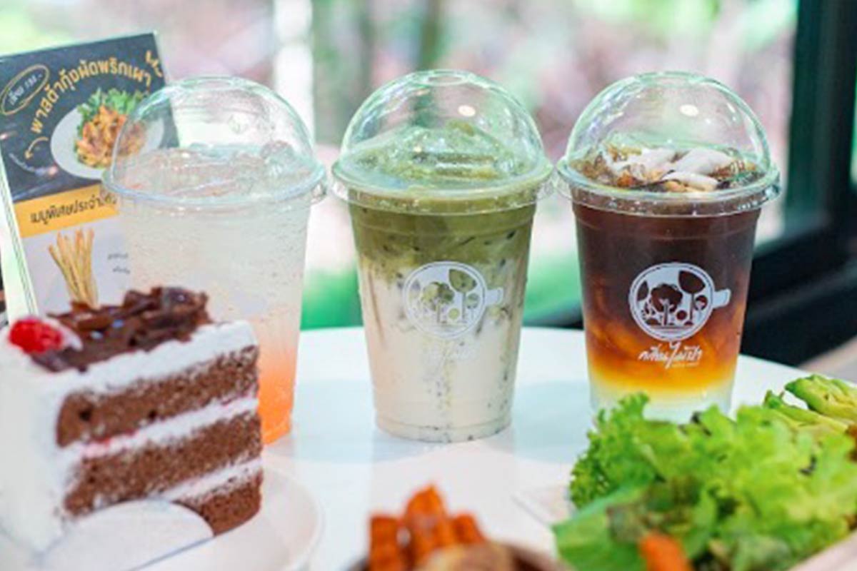 CafeForest 3
