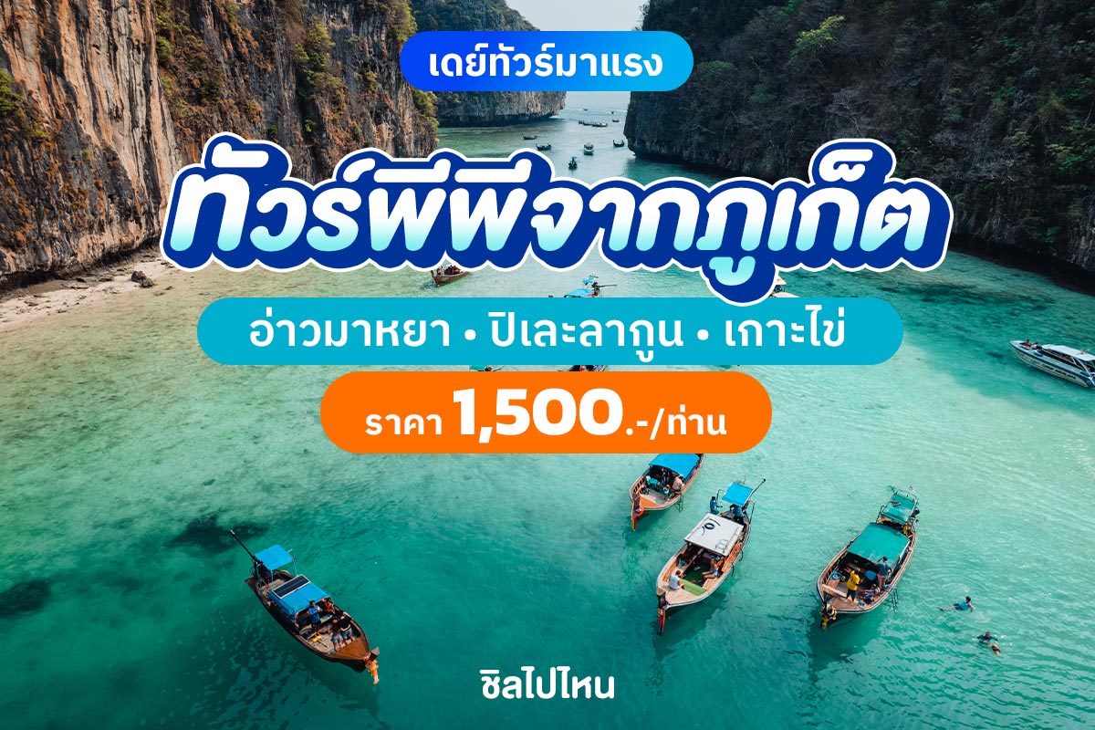 phiphi800