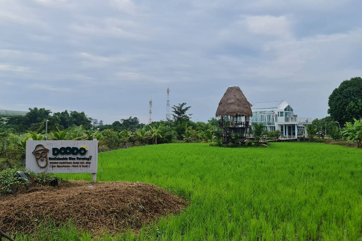 DooDo Backyard Farm_3