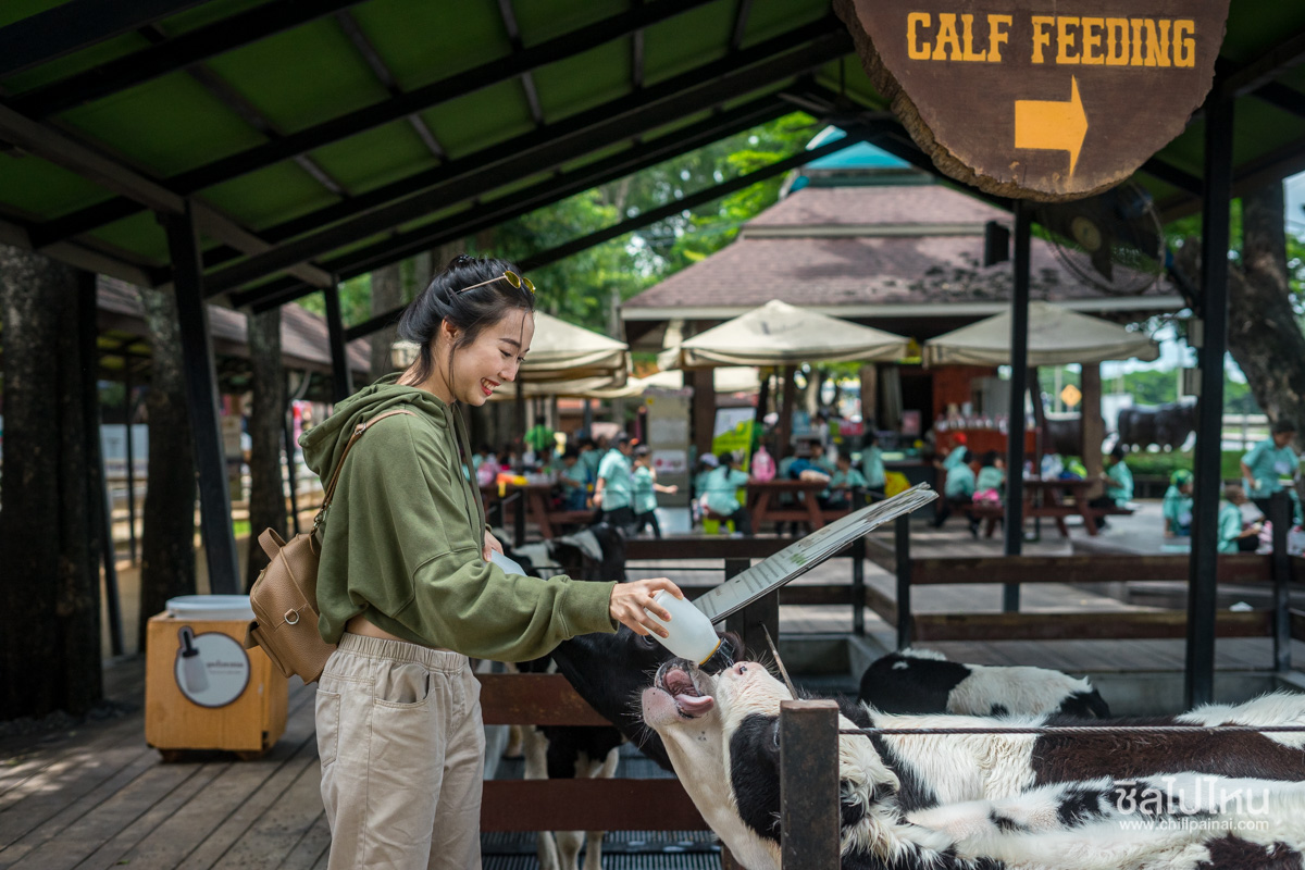 Farm Chokchai_2