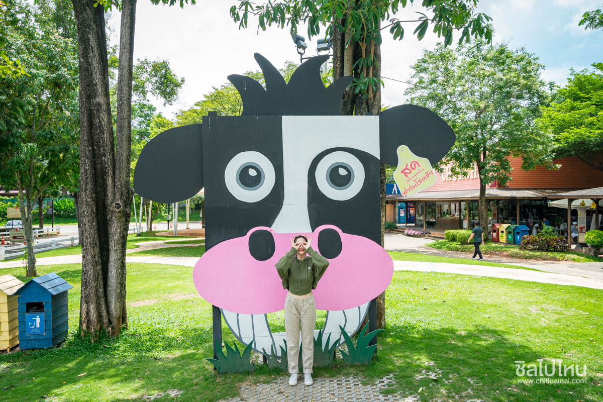 Farm Chokchai_3