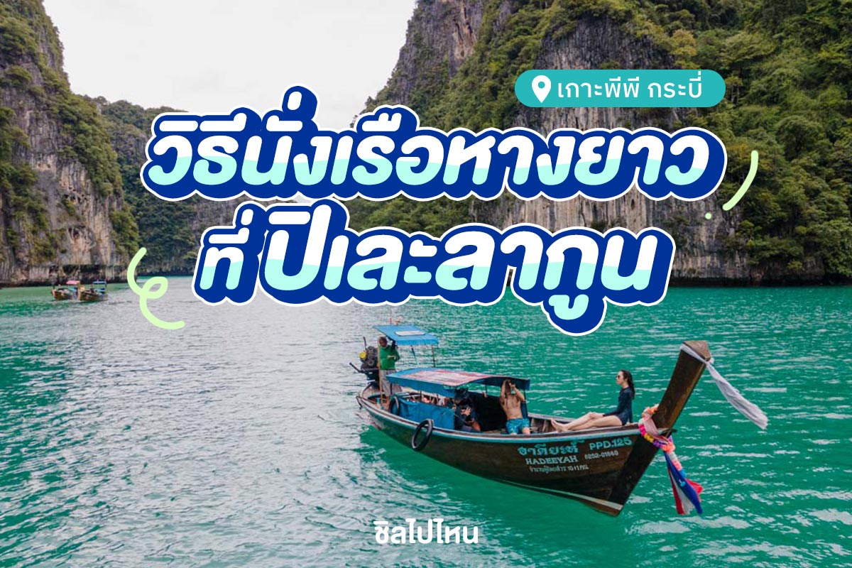 phiphi800