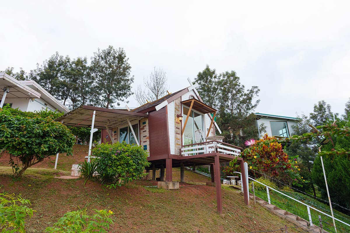 DSC09353
