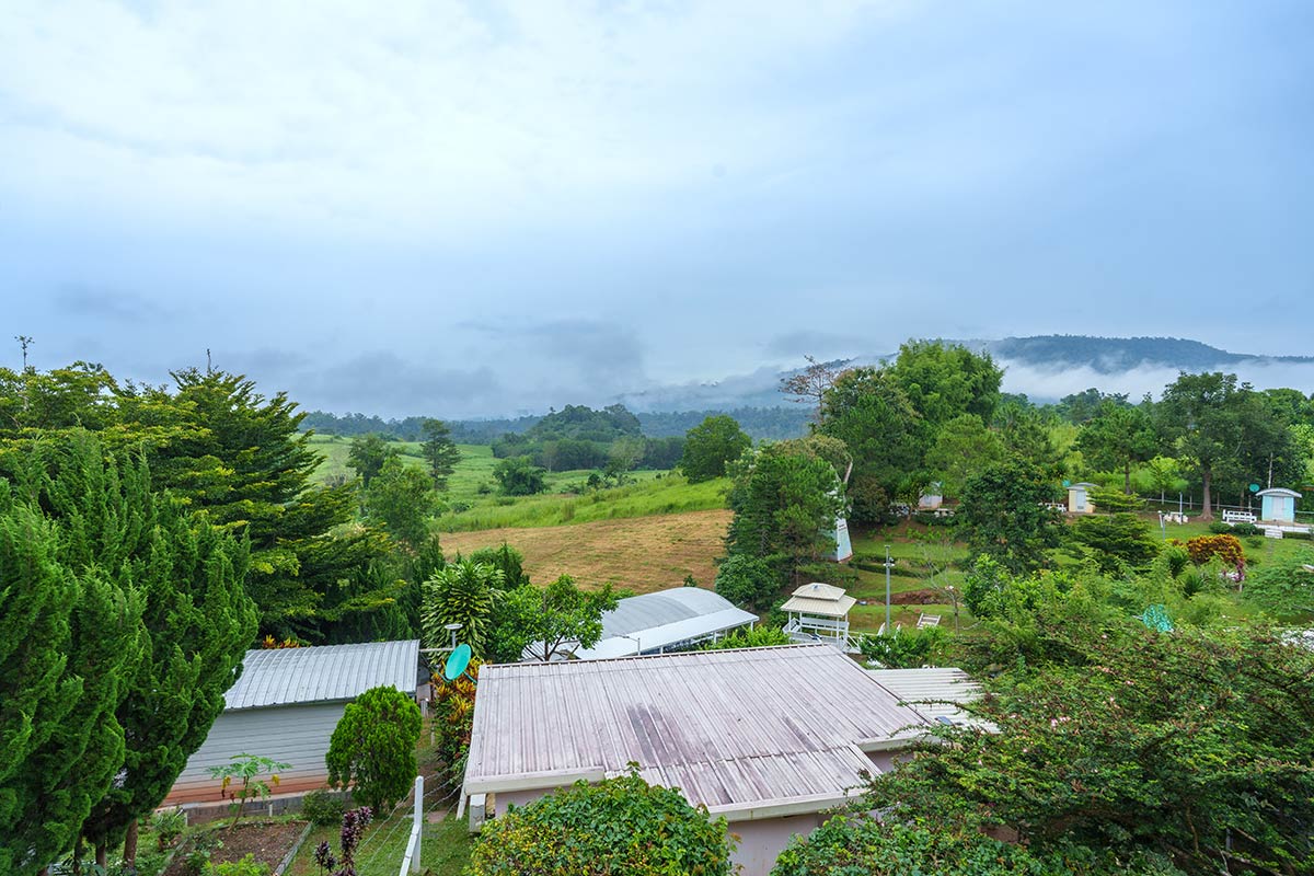 DSC09385