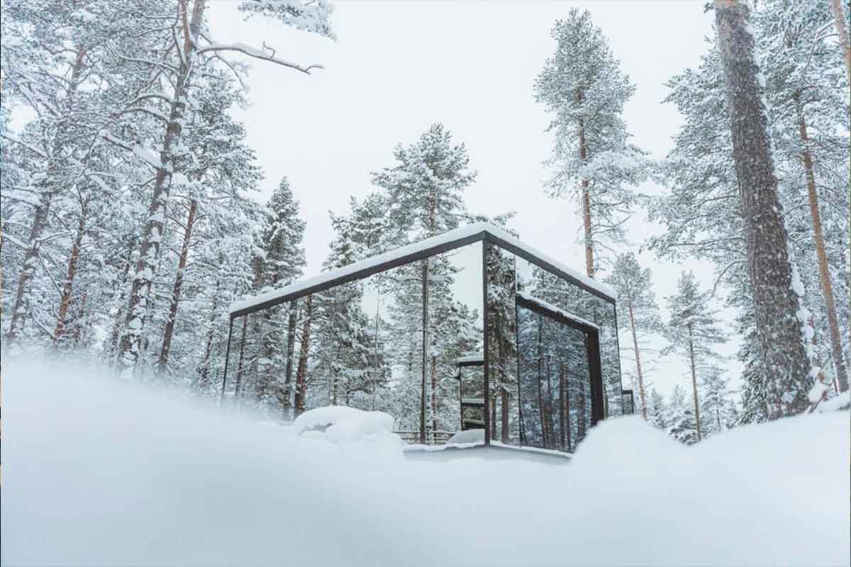 Invisible Forest Lodge & SPA_1