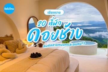 20 ที่พักดอยช้าง เชียงราย ที่เที่ยวสวยสุดฮิต สัมผัสสายหมอกและลมหนาว อัปเดตใหม่ล่าสุดรับปี 2569
