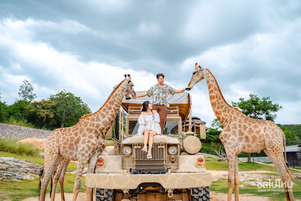 huahin-safari-37