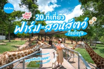 20 ที่เที่ยวฟาร์ม-สวนสัตว์ พาเด็กไปทำกิจกรรมสนุก ๆ ใกล้กรุงกัน! อัปเดตต้อนรับปี 2569﻿