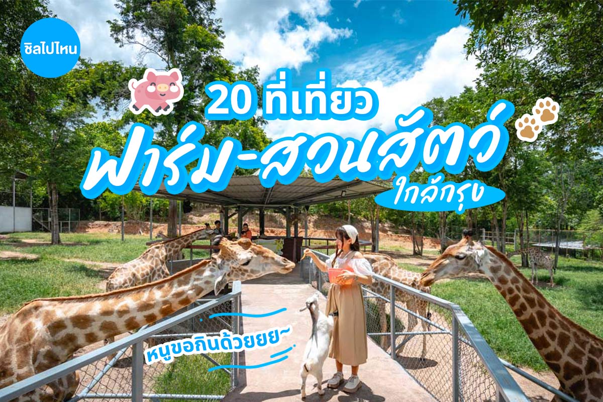 FarmZoo800