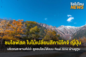 ชมไลฟ์สด! ใบไม้เปลี่ยนสีคามิโคจิ ญี่ปุ่น บริเวณสะพานคัปปะ ดูออนไลน์ได้แบบ Real-time ผ่านยูทูบ