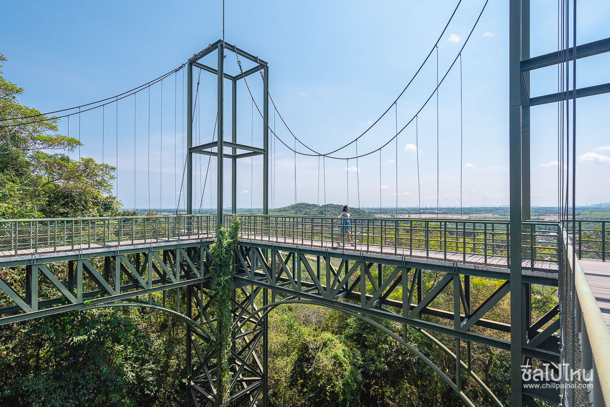 View_Point-7