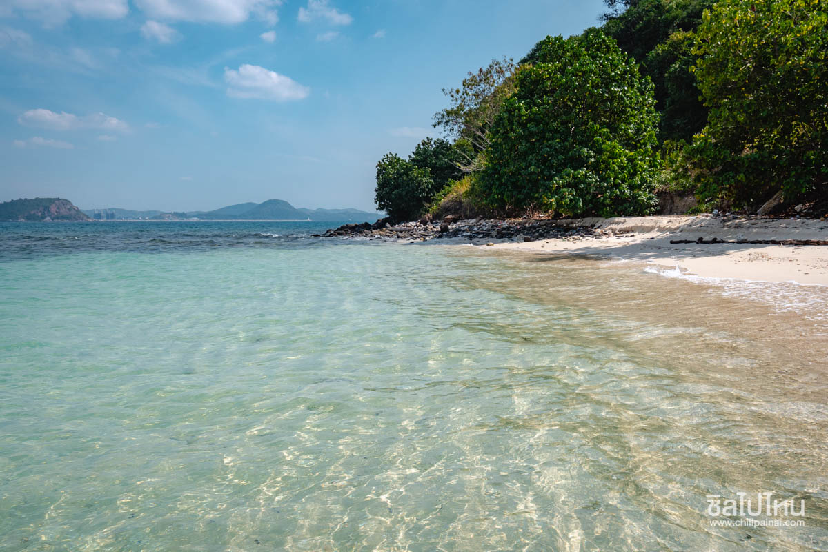 ทริปล่องเรือไม้ Calypsea สุดหรูเที่ยวเกาะยอ สัตหีบ ชลบุรี พร้อมเซ็ตอาหารทะเล เริ่มต้น 4,900 บาทสำหรับ 5 ท่าน