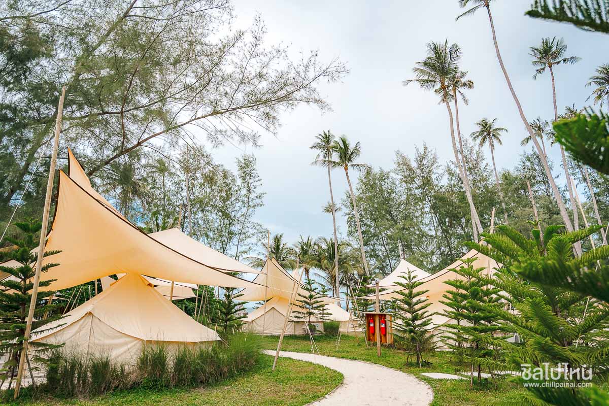 The_Survival_by_Seudam_41