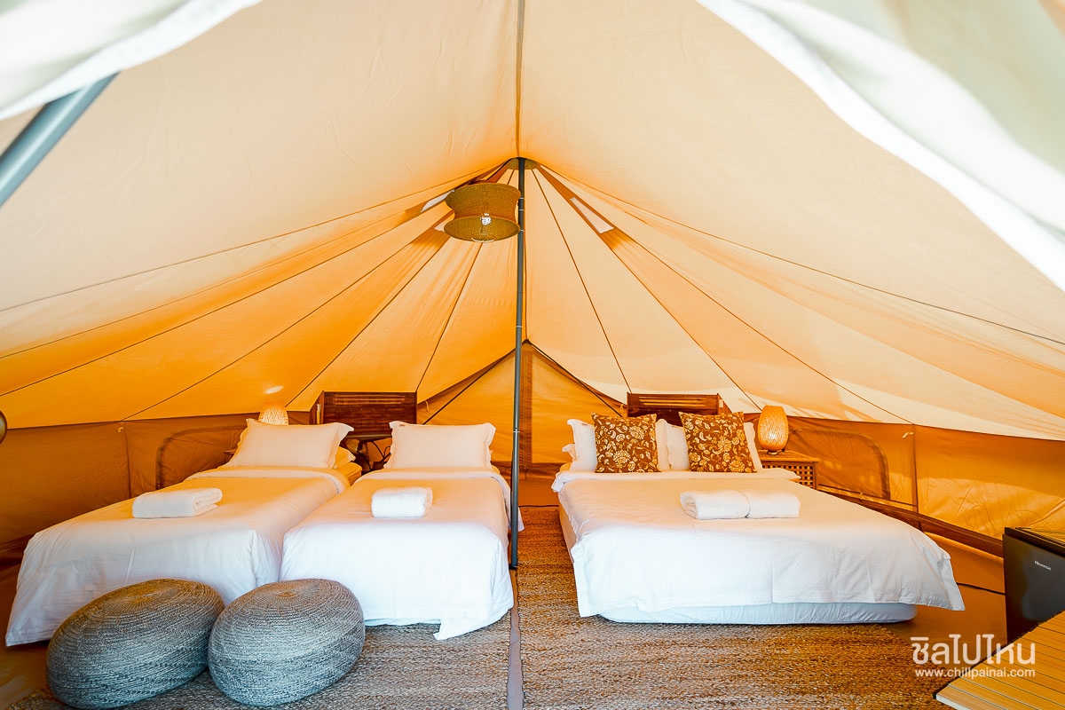 The_Survival_by_Seudam_44 (1)