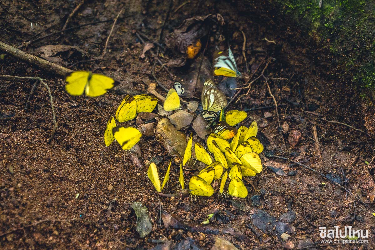 09919925b17322989d7777ab9321b1786c16ca83