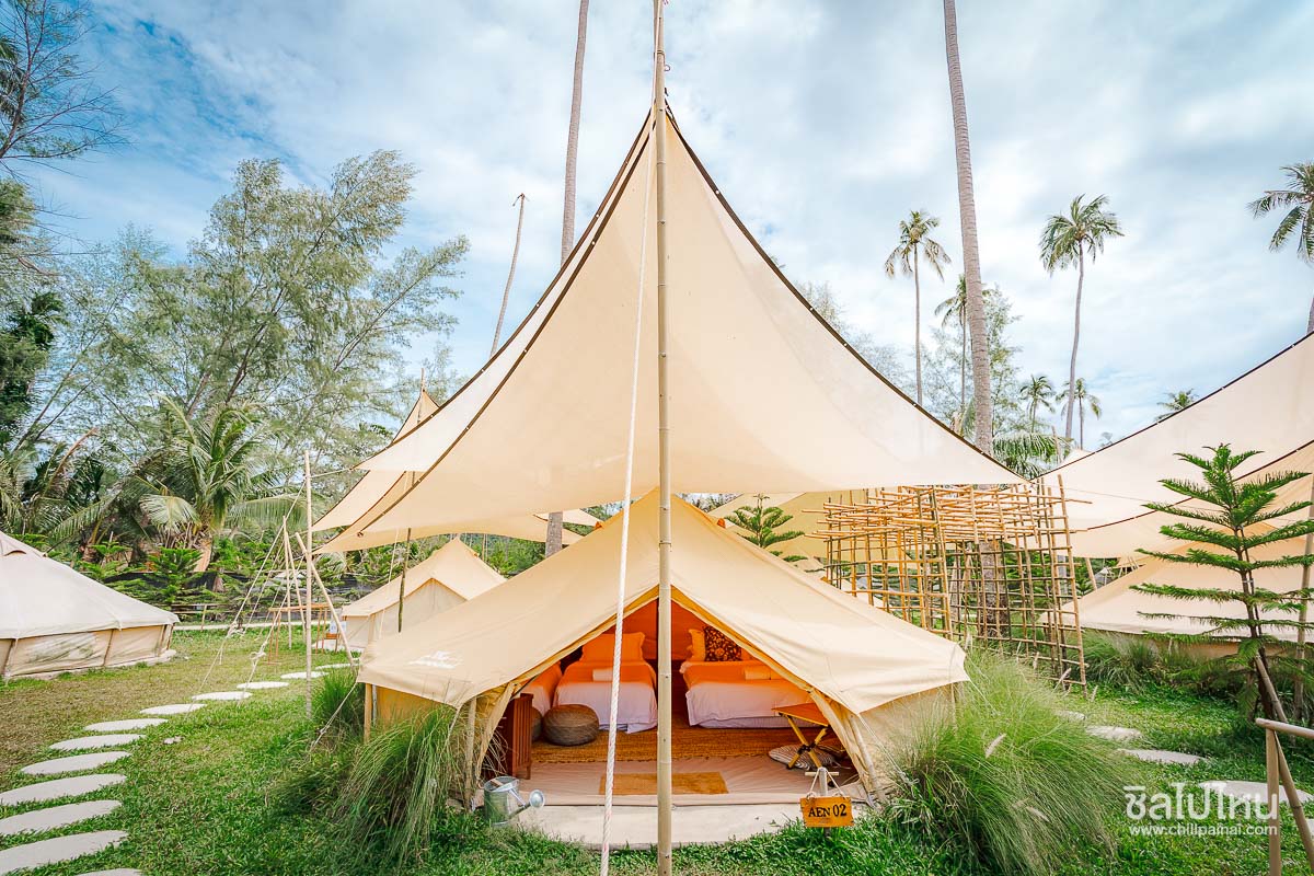 The_Survival_by_Seudam_49