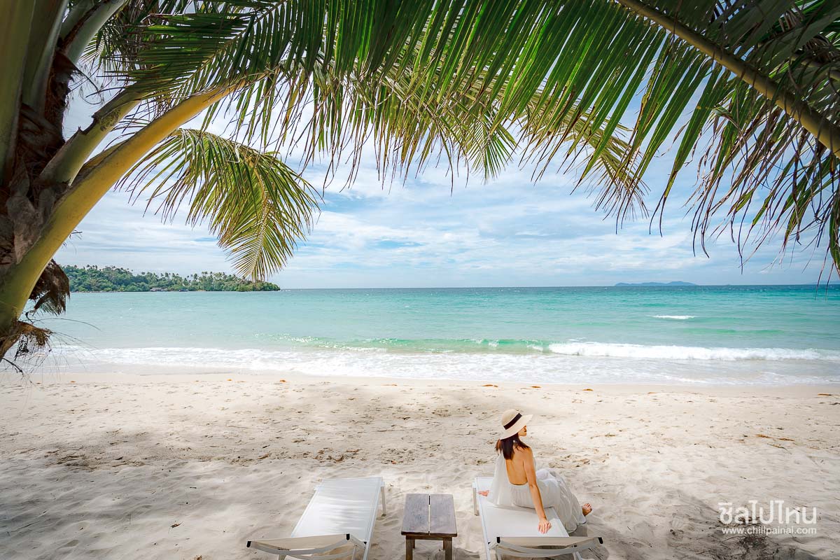 The_Survival_by_Seudam_57