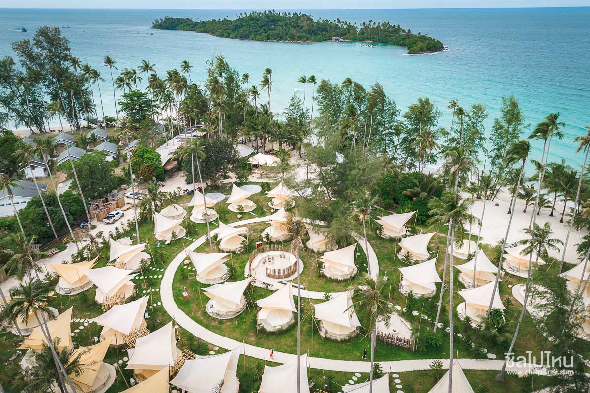 The_Survival_by_Seudam_67