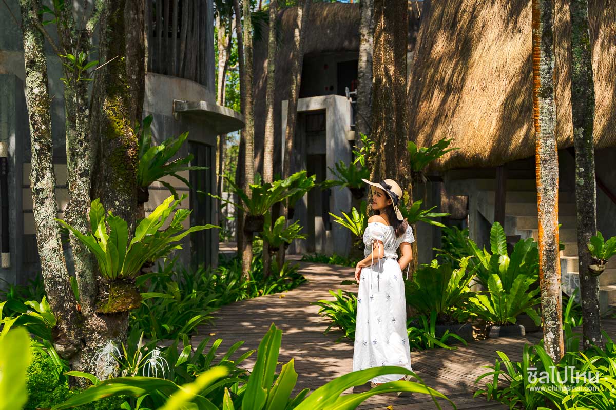 The_Dewa_Koh_Chang_35