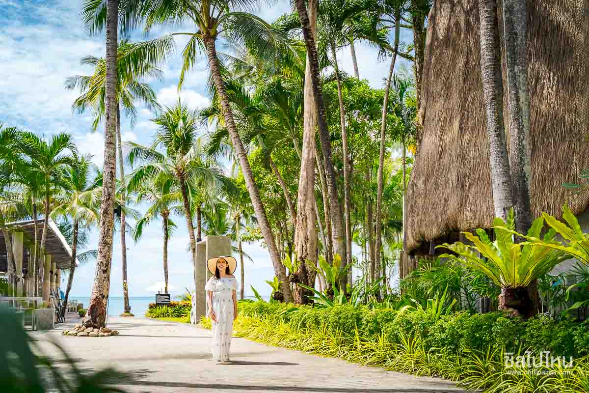 The_Dewa_Koh_Chang_38