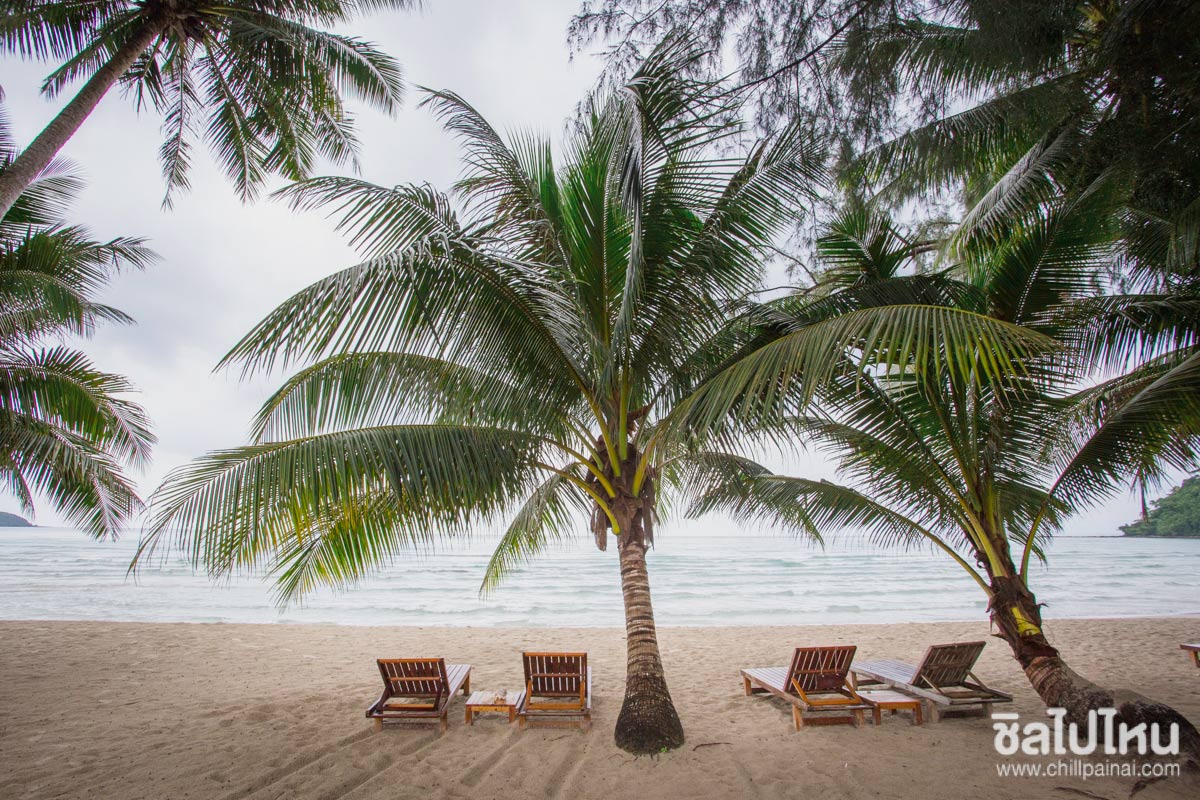sea-view-and-chill-resort
