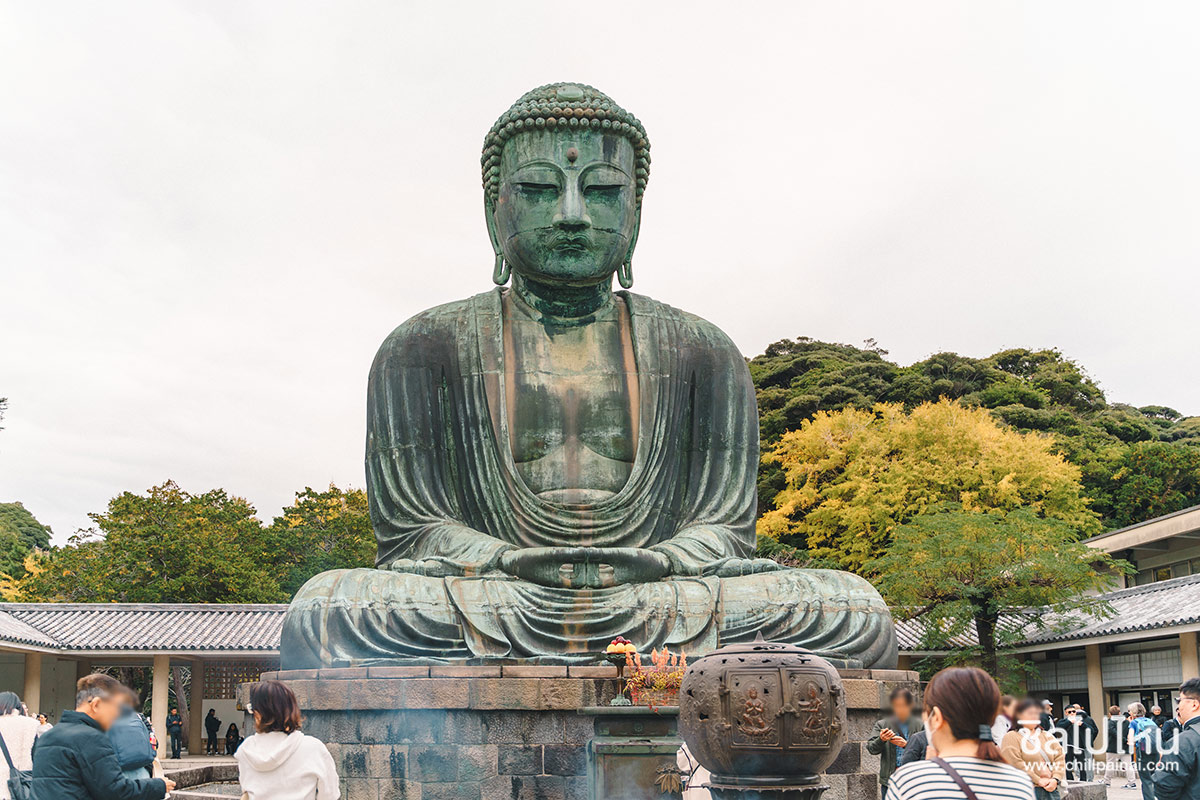 เที่ยวญี่ปุ่นกับทัวร์ 5 วัน 3 คืน เที่ยวโตเกียว ฟูจิ คามาคูระ ฮาโกเน่ ชมใบไม้แดง