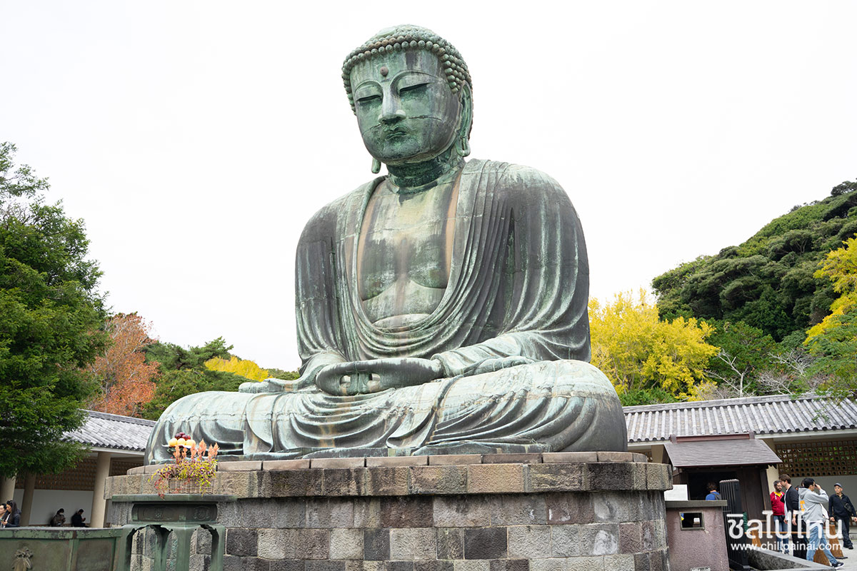 เที่ยวญี่ปุ่นกับทัวร์ 5 วัน 3 คืน เที่ยวโตเกียว ฟูจิ คามาคูระ ฮาโกเน่ ชมใบไม้แดง