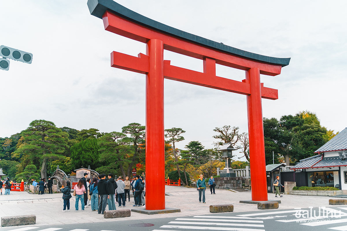 เที่ยวญี่ปุ่นกับทัวร์ 5 วัน 3 คืน เที่ยวโตเกียว ฟูจิ คามาคูระ ฮาโกเน่ ชมใบไม้แดง