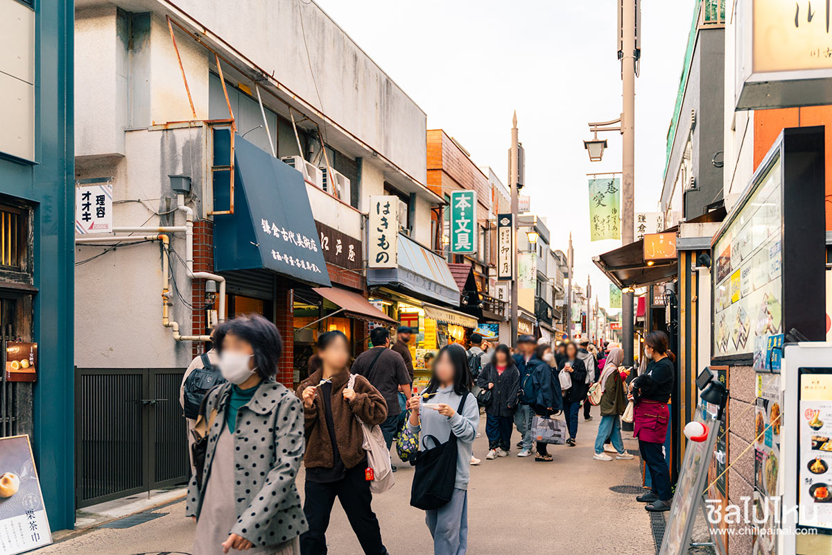 เที่ยวญี่ปุ่นกับทัวร์ 5 วัน 3 คืน เที่ยวโตเกียว ฟูจิ คามาคูระ ฮาโกเน่ ชมใบไม้แดง