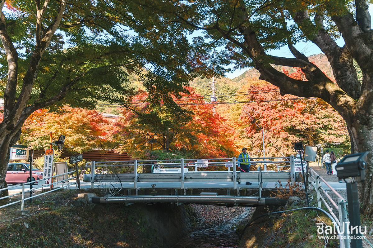 เที่ยวญี่ปุ่นกับทัวร์ 5 วัน 3 คืน เที่ยวโตเกียว ฟูจิ คามาคูระ ฮาโกเน่ ชมใบไม้แดง