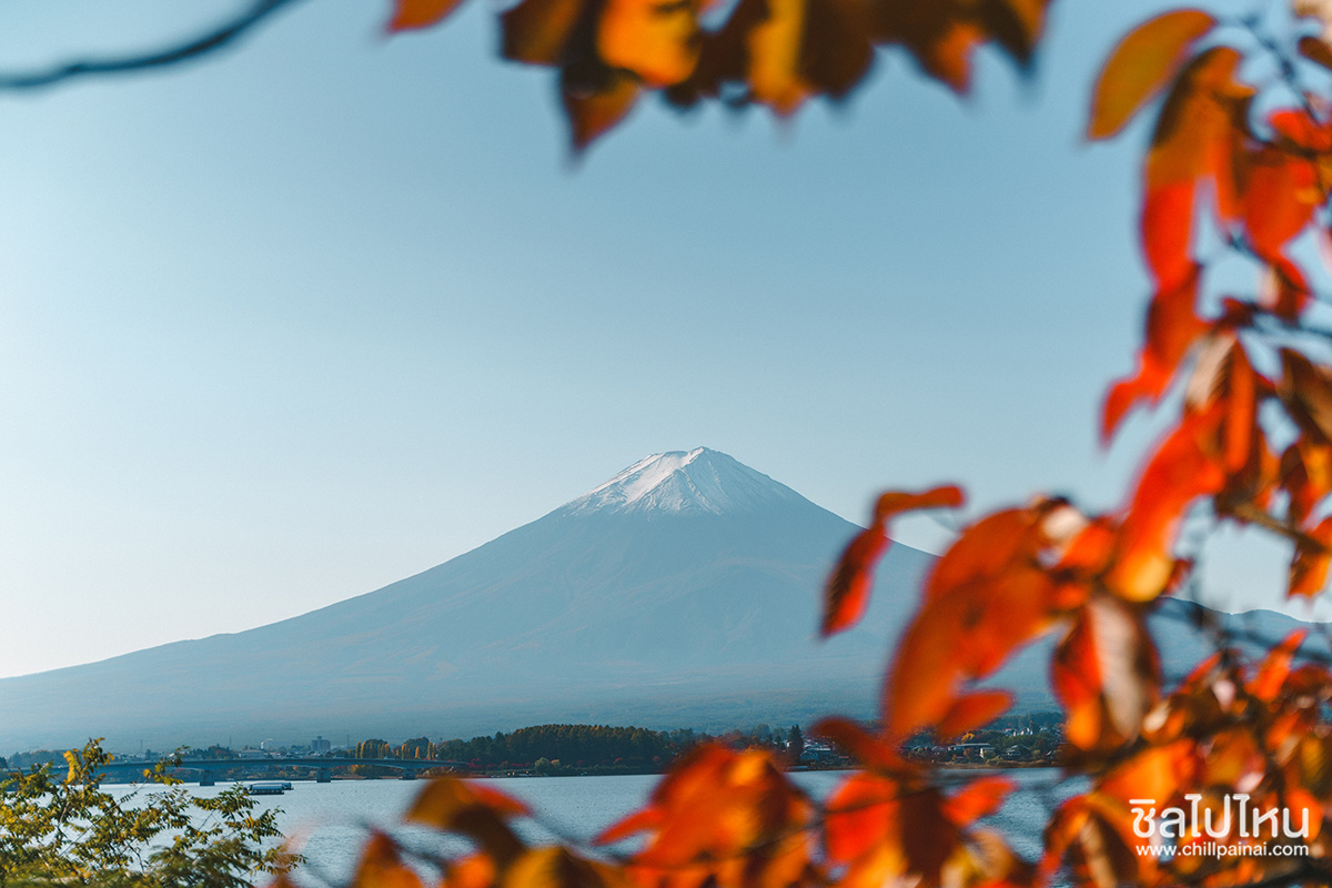 เที่ยวญี่ปุ่นกับทัวร์ 5 วัน 3 คืน เที่ยวโตเกียว ฟูจิ คามาคูระ ฮาโกเน่ ชมใบไม้แดง
