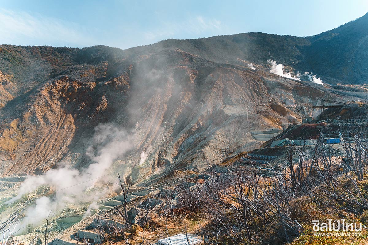 เที่ยวญี่ปุ่นกับทัวร์ 5 วัน 3 คืน เที่ยวโตเกียว ฟูจิ คามาคูระ ฮาโกเน่ ชมใบไม้แดง