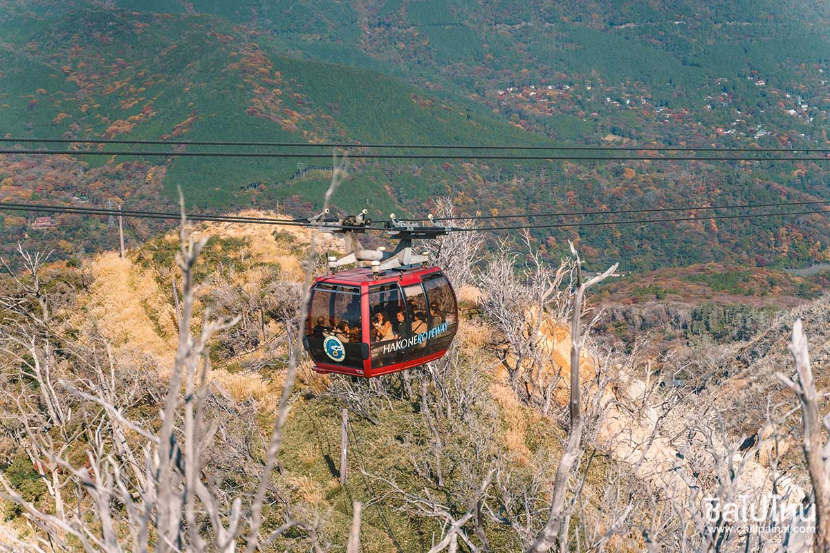 เที่ยวญี่ปุ่นกับทัวร์ 5 วัน 3 คืน เที่ยวโตเกียว ฟูจิ คามาคูระ ฮาโกเน่ ชมใบไม้แดง